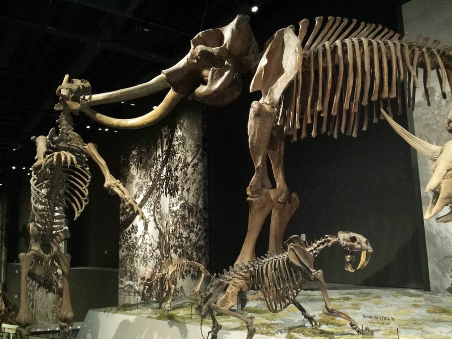 Click to See Next Image